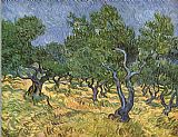 Olive grove I by Vincent van Gogh